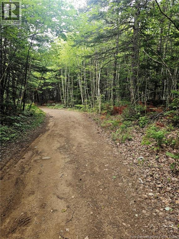 Lot 34 Off Green Road, Elgin, New Brunswick  E4Z 6L4 - Photo 6 - NB123658