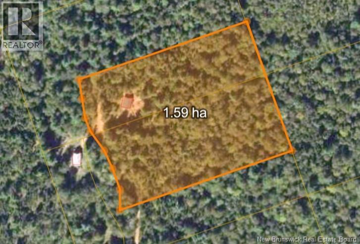 Lot 34 Off Green Road, Elgin, New Brunswick  E4Z 6L4 - Photo 23 - NB123658