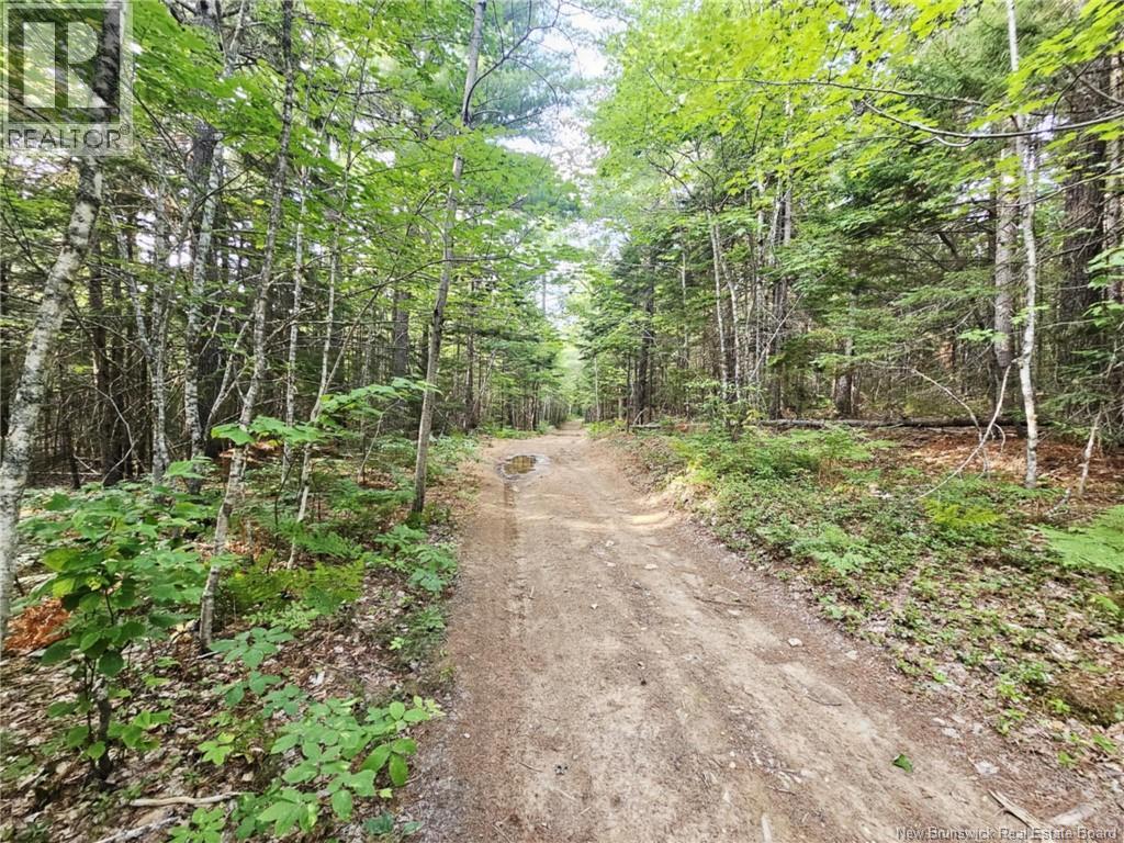 Lot 34 Off Green Road, Elgin, New Brunswick  E4Z 6L4 - Photo 3 - NB123658