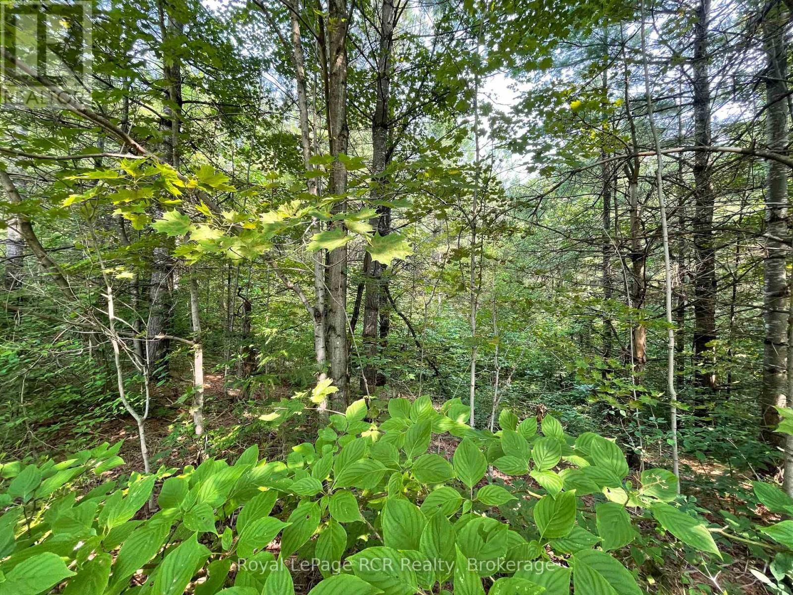 Part 2 Southgate Rd 26, Southgate, Ontario  N0G 1R0 - Photo 8 - X12334144