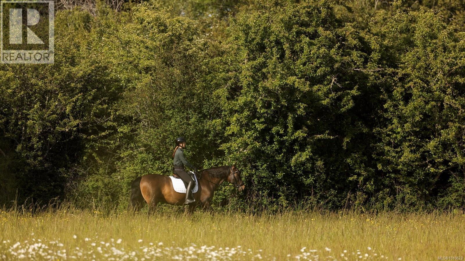 9775 West Saanich Rd, North Saanich, British Columbia  V8L 5T5 - Photo 2 - 1010623