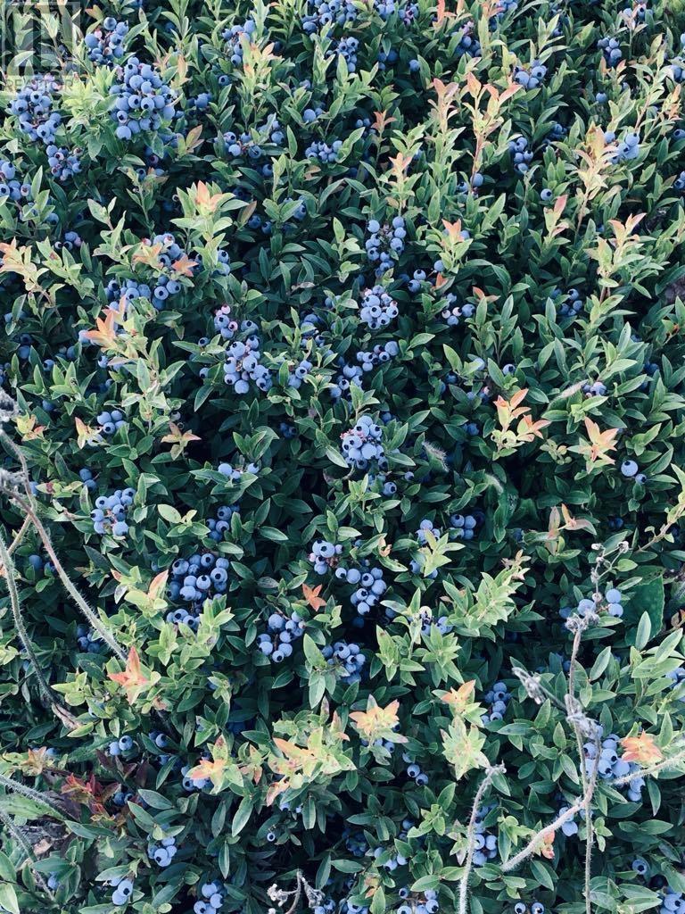 252 Glengarry Road, Hopewell, Nova Scotia  B0K 1C0 - Photo 35 - 202514891