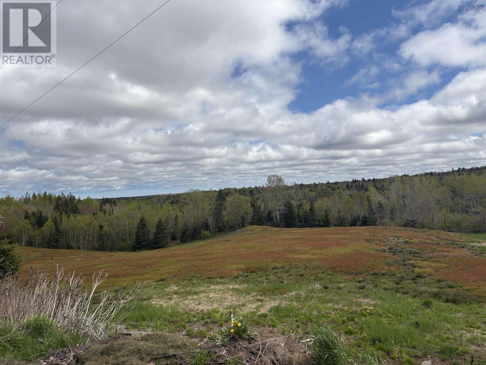 252 Glengarry Road, Hopewell, Nova Scotia  B0K 1C0 - Photo 9 - 202514891