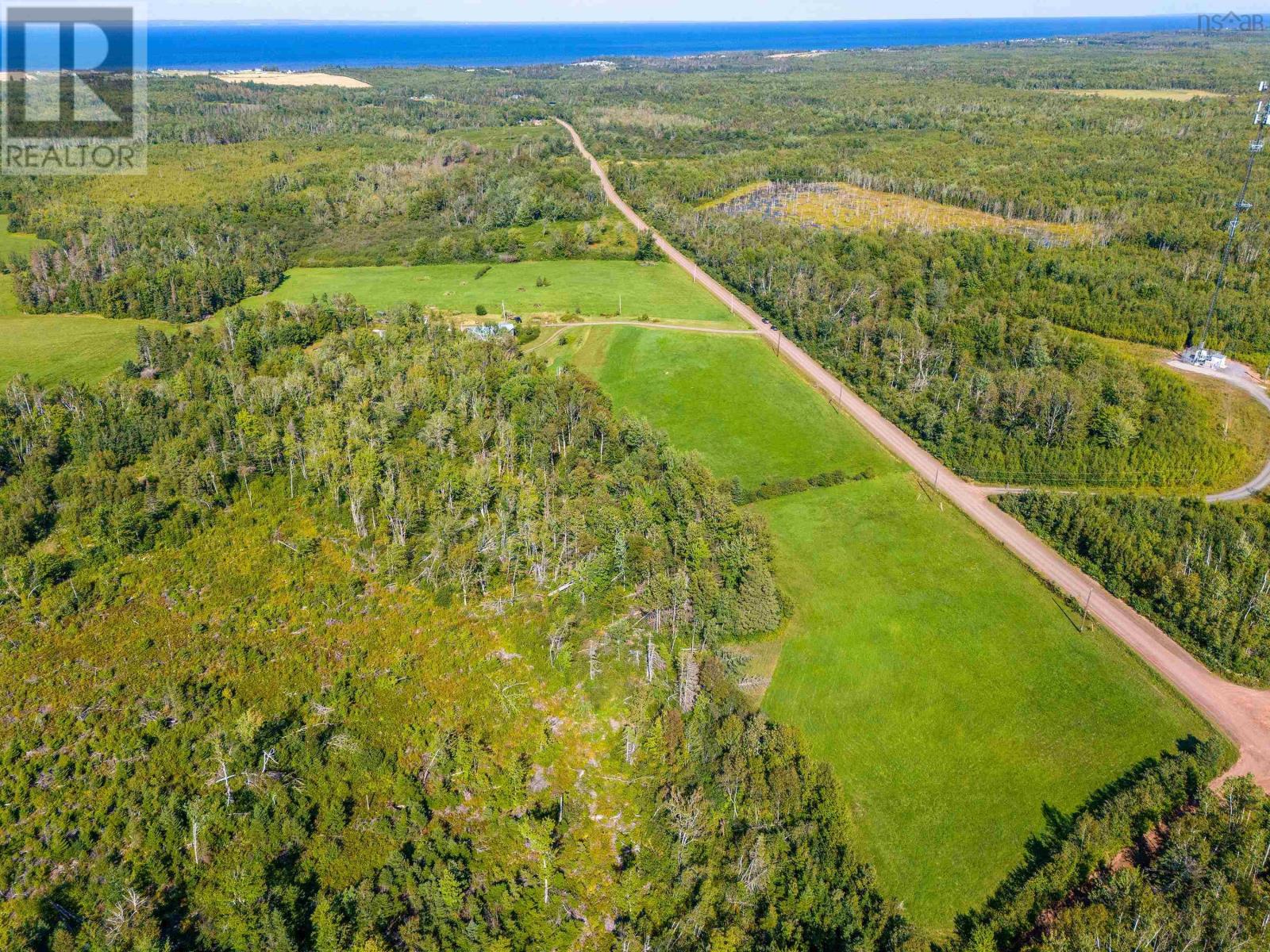 319 Mcauley Road, Hedgeville, Nova Scotia  B0K 1N0 - Photo 5 - 202508400