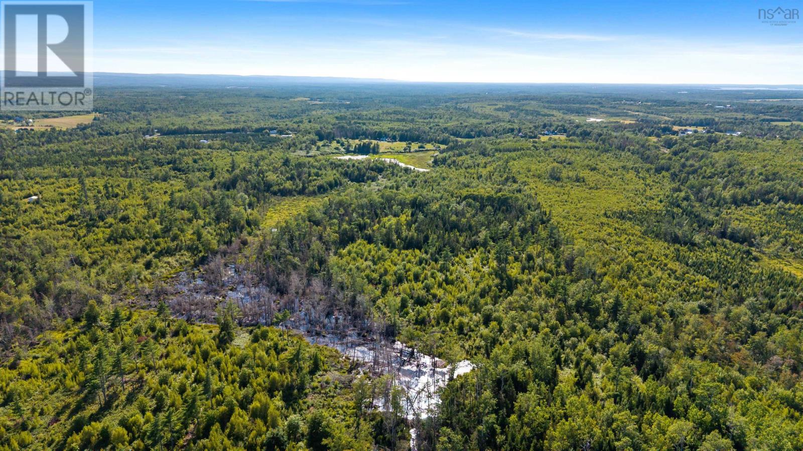 3072 326 Highway, Denmark, Nova Scotia  B0K 1V0 - Photo 10 - 202508492