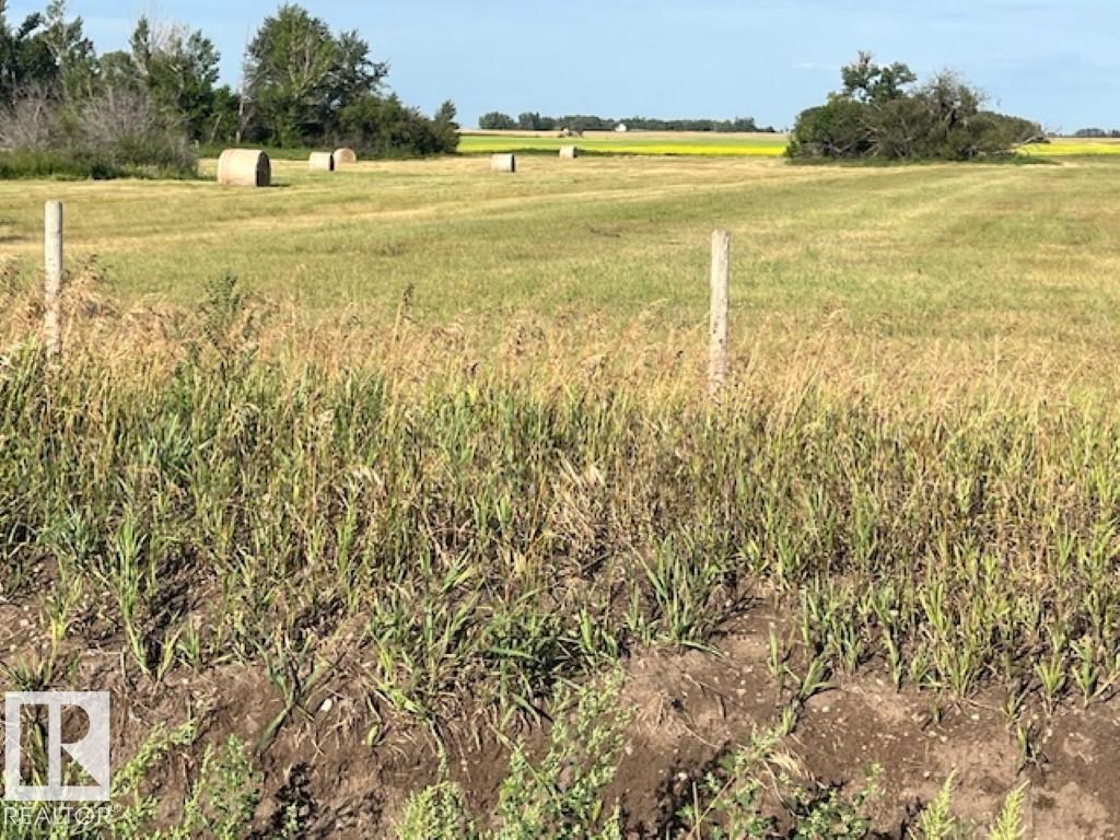 54112 Rge Road 152, Rural Minburn County, Alberta  T9C 1R2 - Photo 5 - E4452108