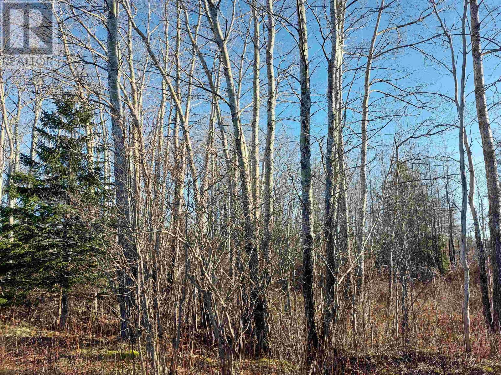 Lot 1 Hwy 4, Cleveland, Nova Scotia  B0E 1J0 - Photo 12 - 202509613