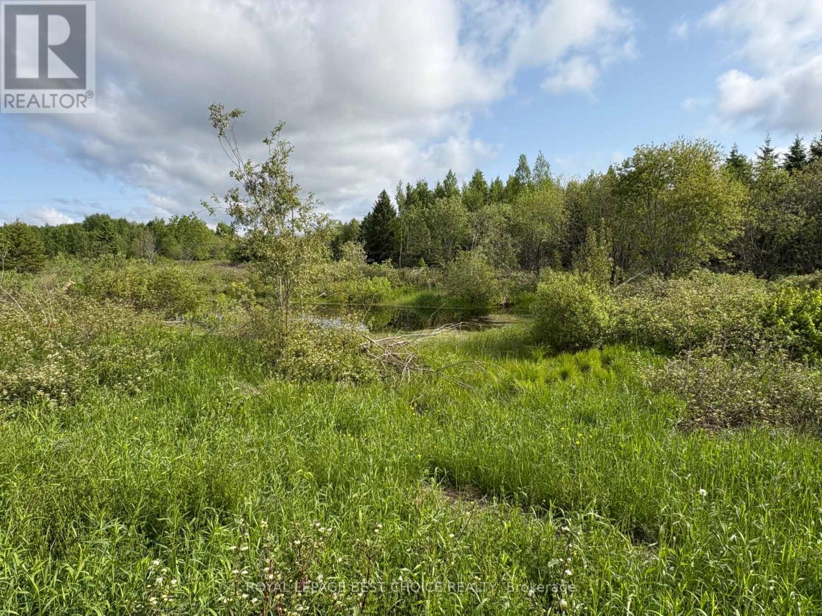 964253 Development Road, Harley, Ontario  P0J 1S0 - Photo 13 - T12225959