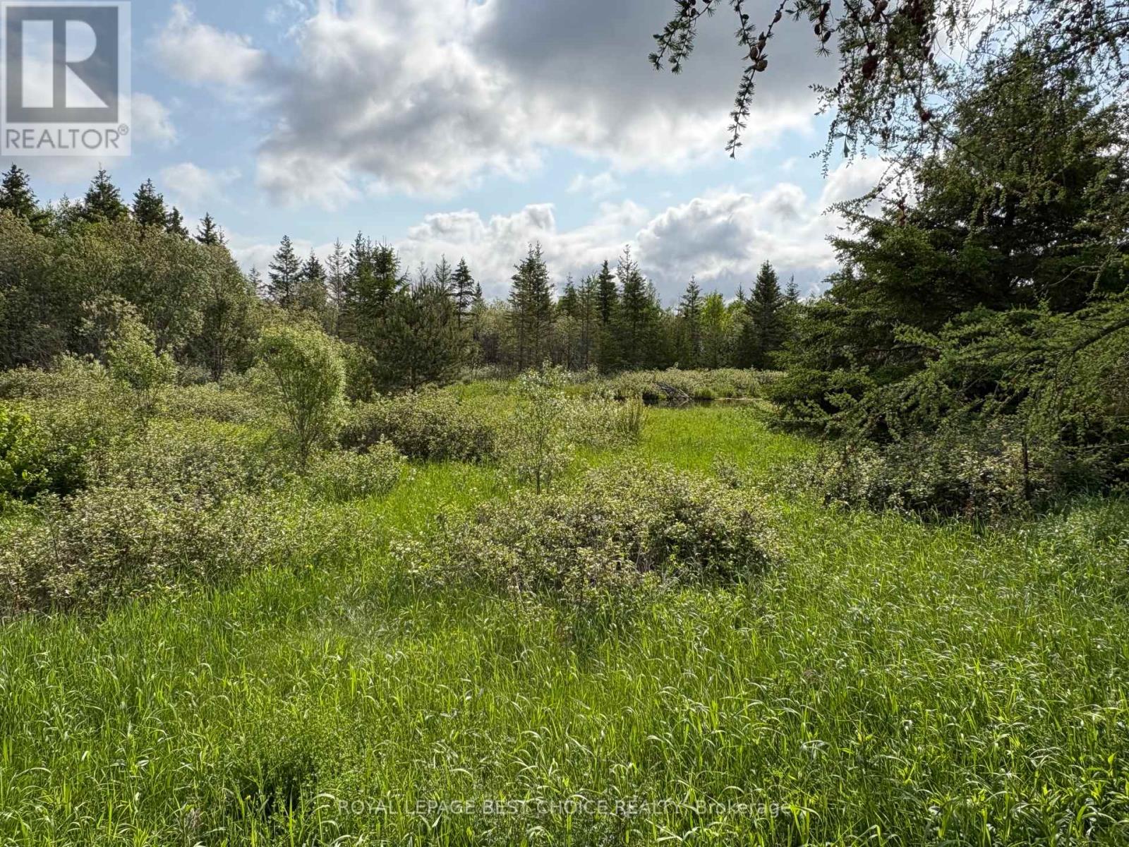 964253 Development Road, Harley, Ontario  P0J 1S0 - Photo 14 - T12225959