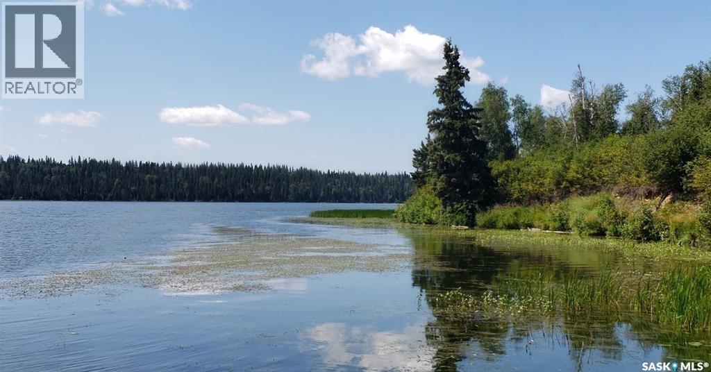 14 Tranquility Drive, Big River Rm No. 555, Saskatchewan  S0J 0E0 - Photo 11 - SK015187