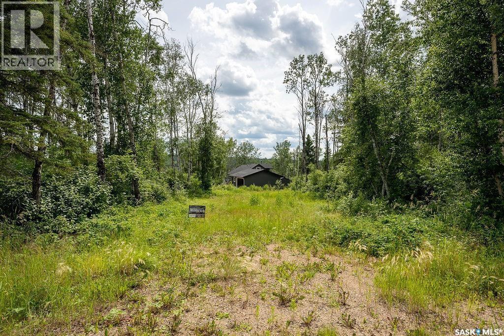 14 Tranquility Drive, Big River Rm No. 555, Saskatchewan  S0J 0E0 - Photo 3 - SK015187