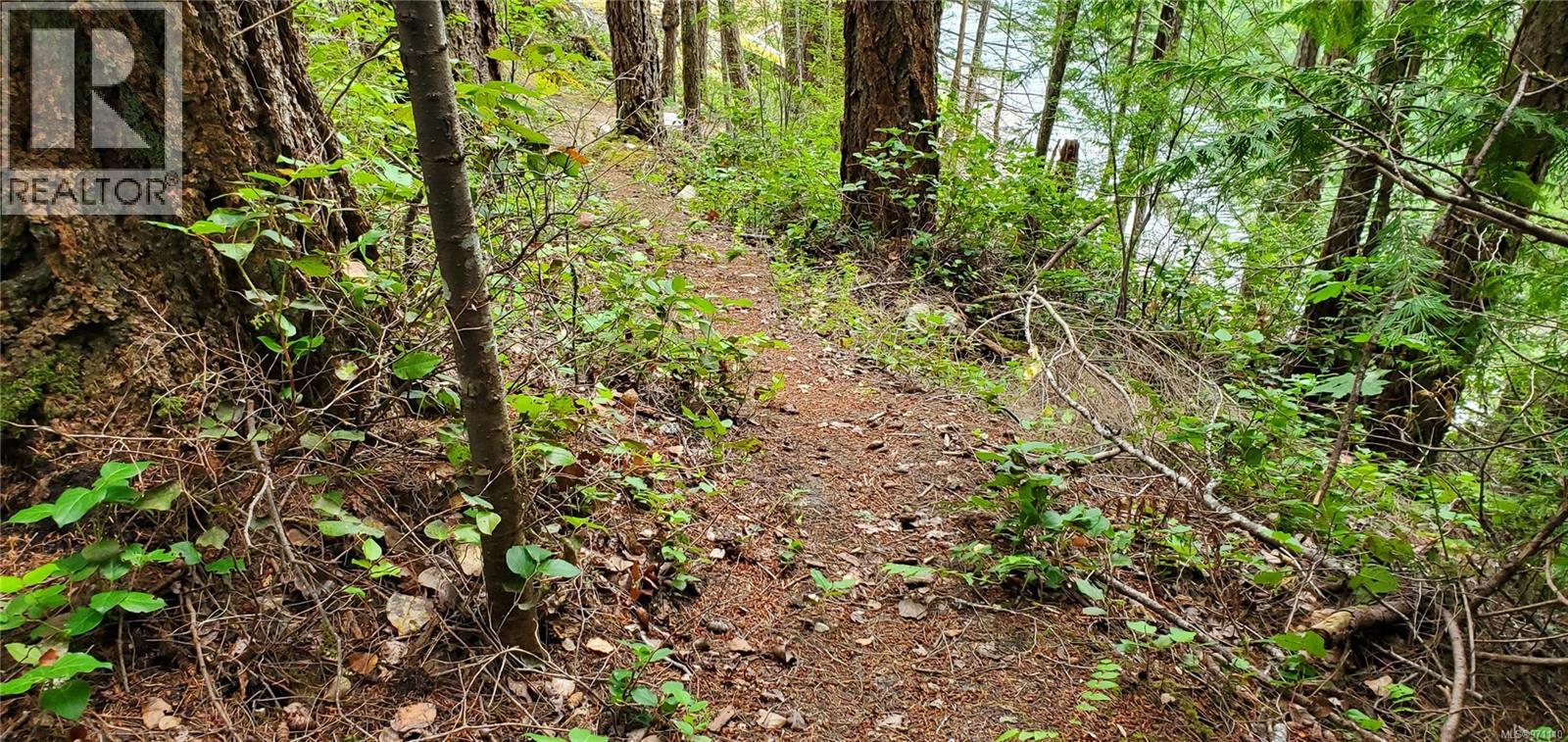 226 Bold Point Rd, Quadra Island, British Columbia  V0P 1H0 - Photo 60 - 971110