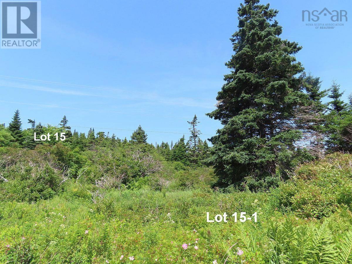 Lots 15&15-1 Hwy 316 (English Hbr), Cole Harbour, Nova Scotia  B0H 1T0 - Photo 24 - 202514326