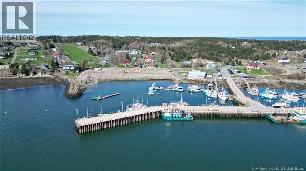 60 Route 776, Grand Manan, New Brunswick  E5G 1A1 - Photo 5 - NB118522