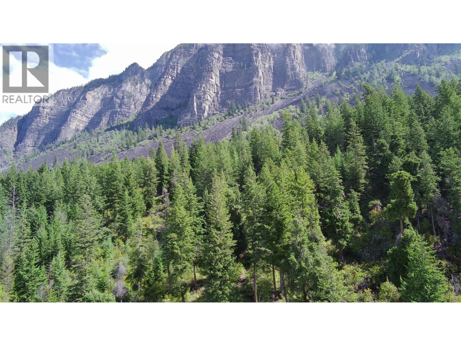 Pit Road Lot# 14, Lister, British Columbia  V0B 1G2 - Photo 5 - 10358753