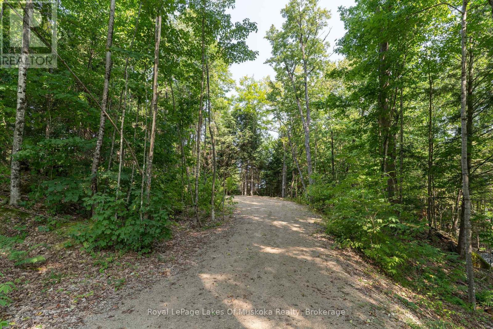 1206 Minden Point Trail, Algonquin Highlands, Ontario  P0A 1E0 - Photo 12 - X12334999