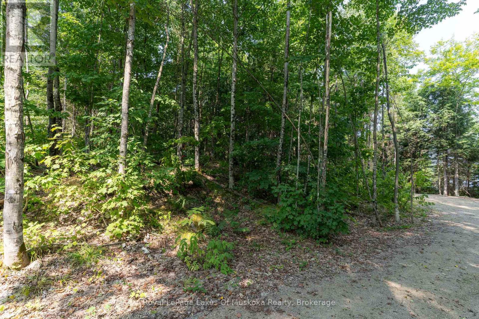 1206 Minden Point Trail, Algonquin Highlands, Ontario  P0A 1E0 - Photo 13 - X12334999
