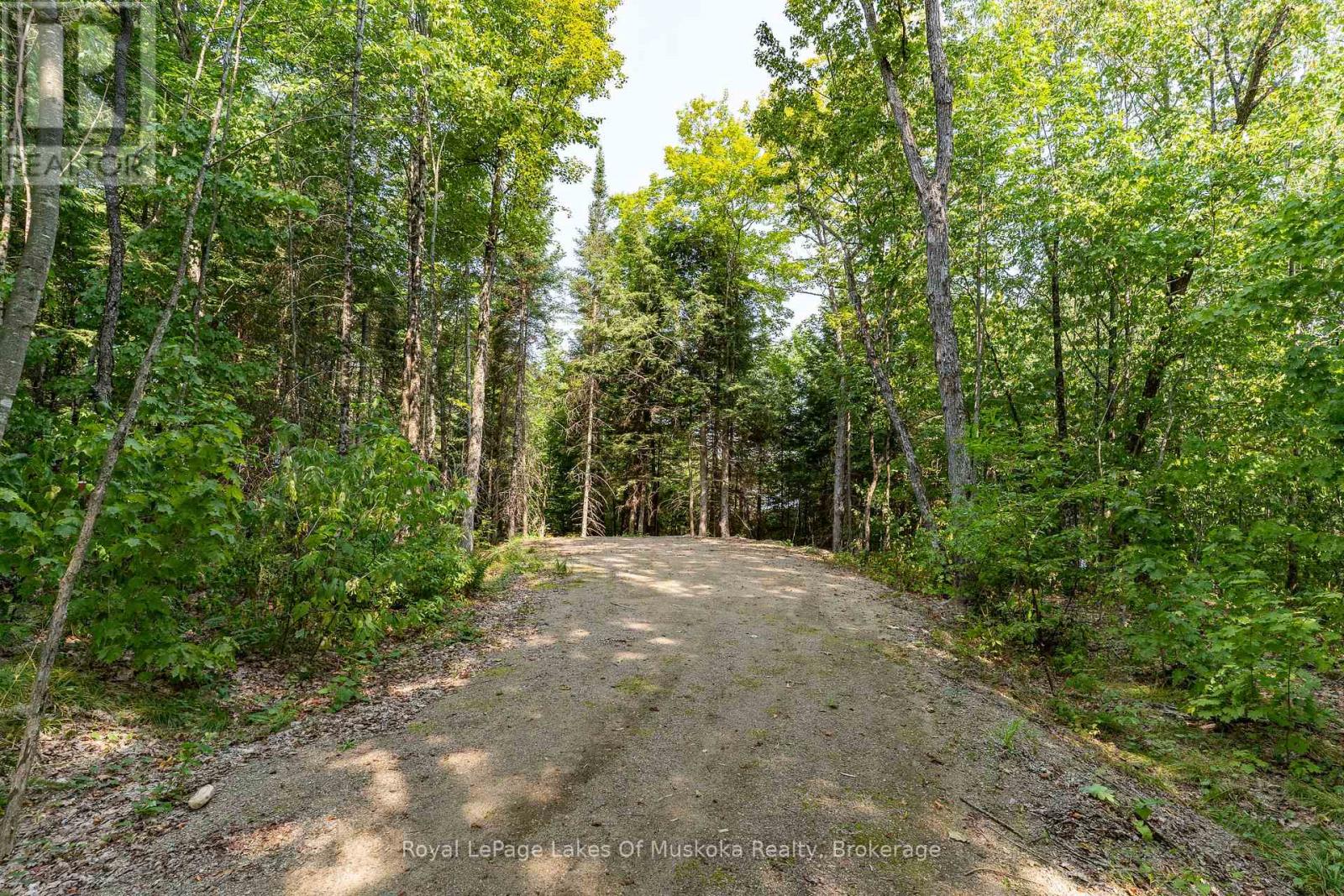 1206 Minden Point Trail, Algonquin Highlands, Ontario  P0A 1E0 - Photo 14 - X12334999