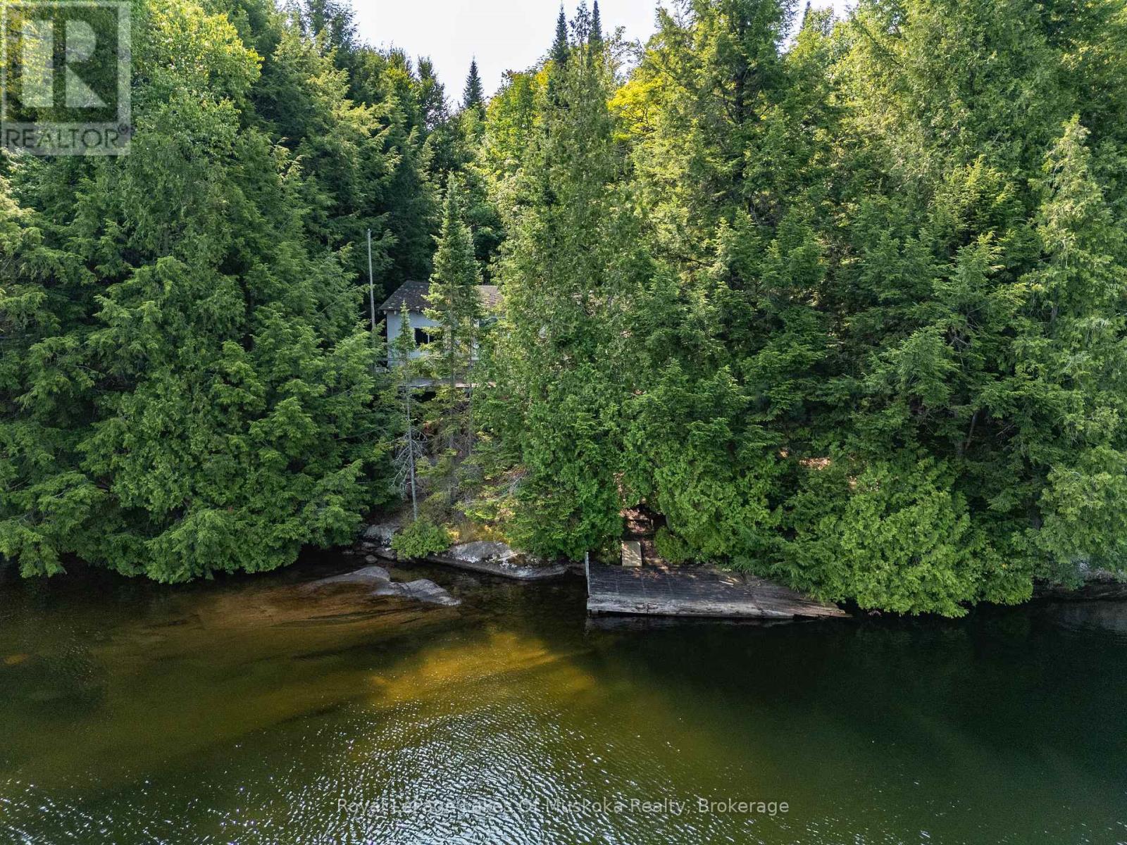 1206 Minden Point Trail, Algonquin Highlands, Ontario  P0A 1E0 - Photo 9 - X12334999