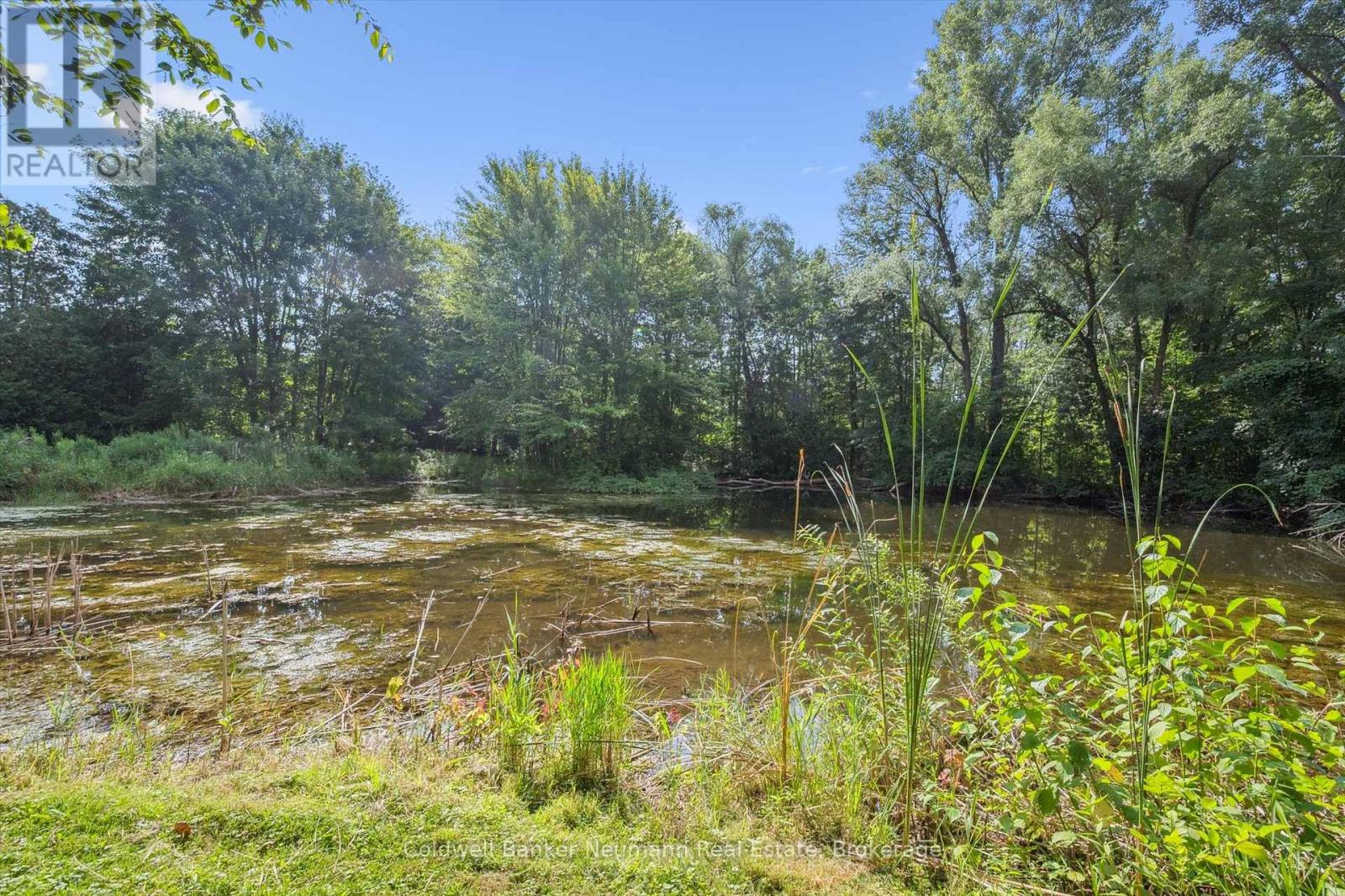 1918 Regional 97 Road, Hamilton, Ontario  N1R 5S7 - Photo 48 - X12103734