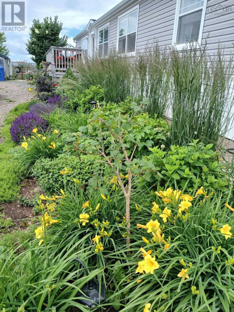 143 Board Landing Road, Central Onslow, Nova Scotia  B6L 5A4 - Photo 15 - 202504914