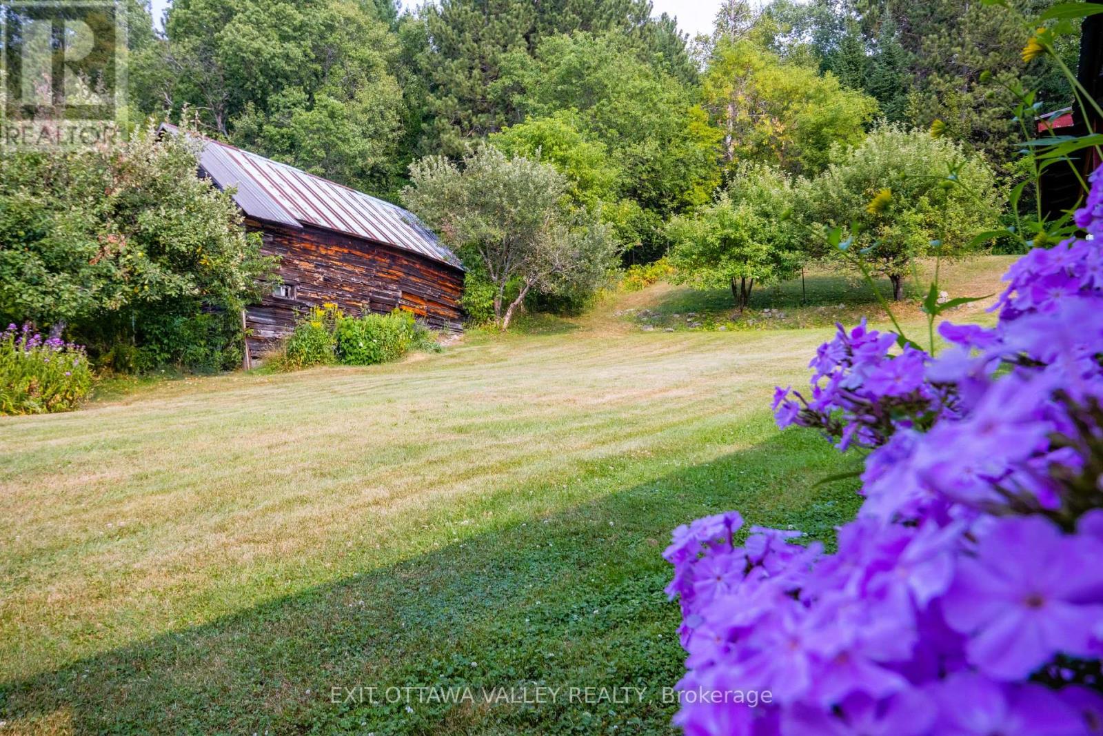 53 Burchat Street, Madawaska Valley, Ontario  K0J 2N0 - Photo 8 - X12335063