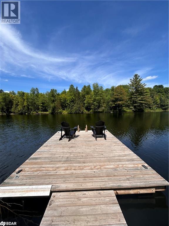 1053 Esson Creek Lane, Wilberforce, Ontario  K0L 3C0 - Photo 28 - 40745221