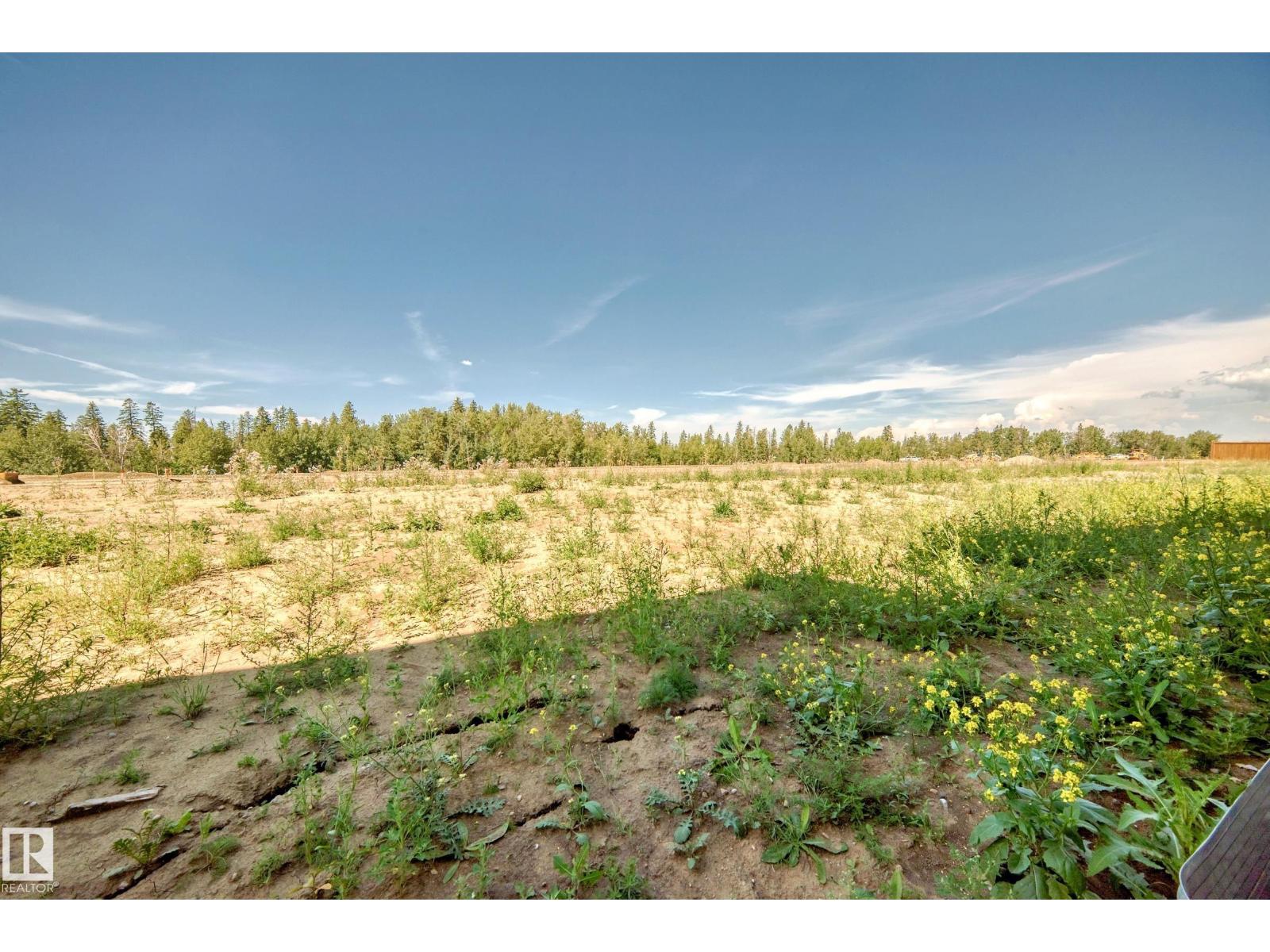 631 Kinglet Bv Nw, Edmonton, Alberta  T5S 0S8 - Photo 69 - E4451704