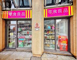 113 - 10 NORTHTOWN WAY, Toronto, Ontario