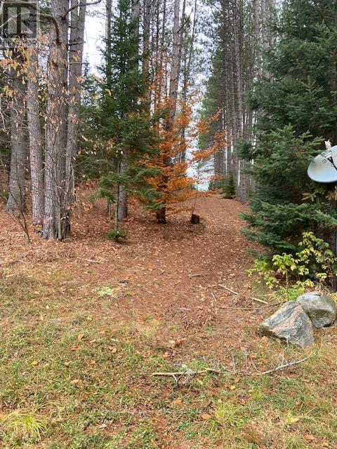 1590 Yearley Road, Huntsville (Stephenson), Ontario  P0B 1M0 - Photo 36 - X12335484