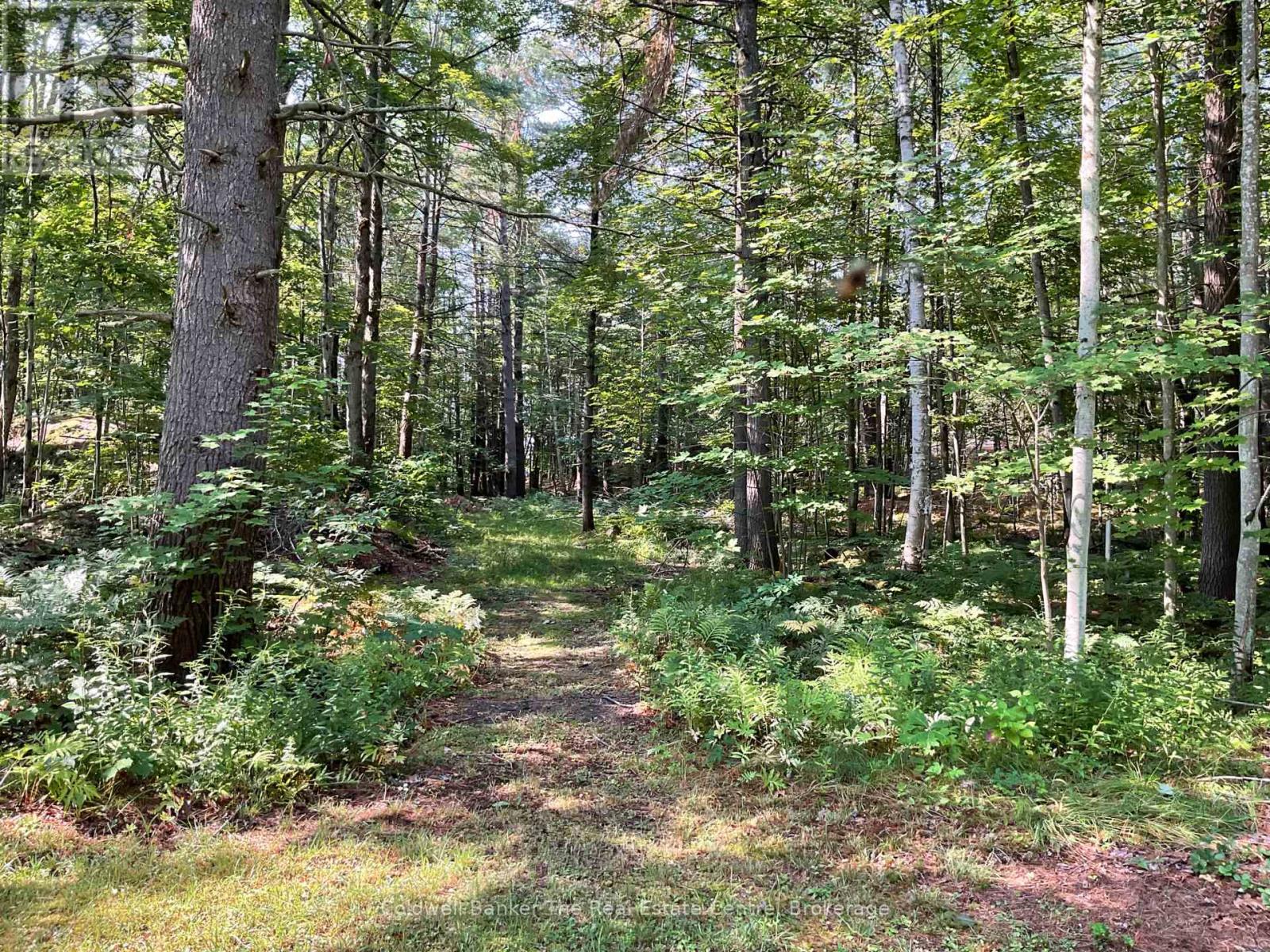 1060 Kahshe Lake Road S, Gravenhurst, Ontario  P0E 1G0 - Photo 7 - X12335536