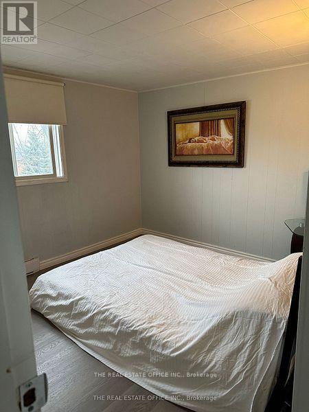 393 Adeline Drive, Georgina, Ontario  L4P 3C4 - Photo 22 - N12335545