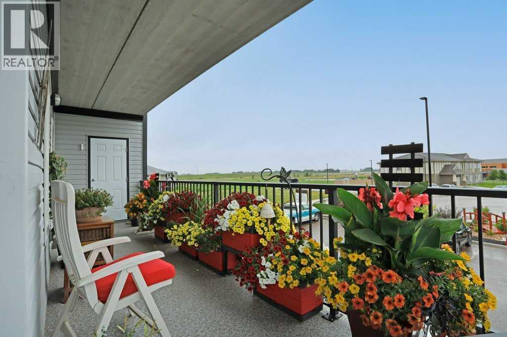 208, 499 Meadowlake Court E, Brooks, Alberta  T1R 0Y7 - Photo 29 - A2247322