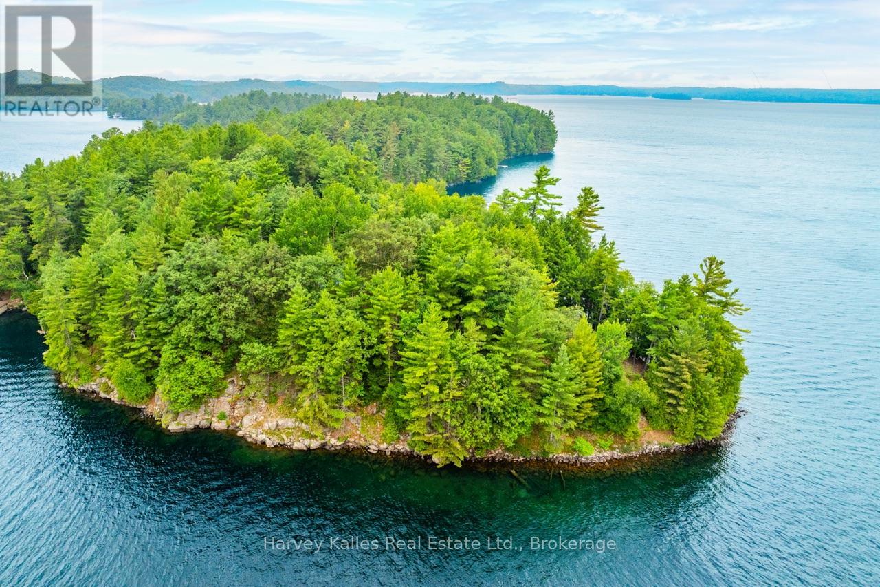 25 Clifton Island, Muskoka Lakes, Ontario  P0B 1M0 - Photo 32 - X12334593
