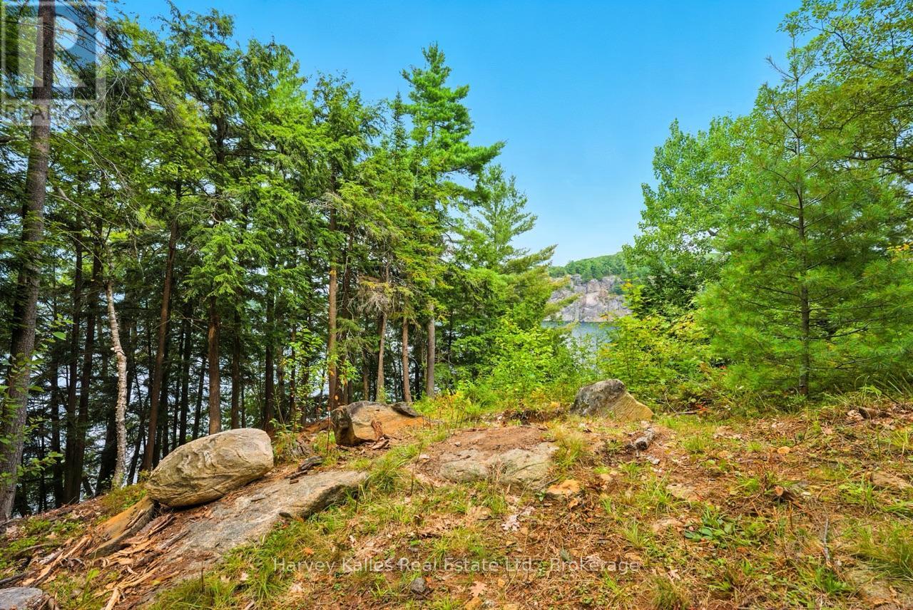 25 Clifton Island, Muskoka Lakes, Ontario  P0B 1M0 - Photo 48 - X12334593