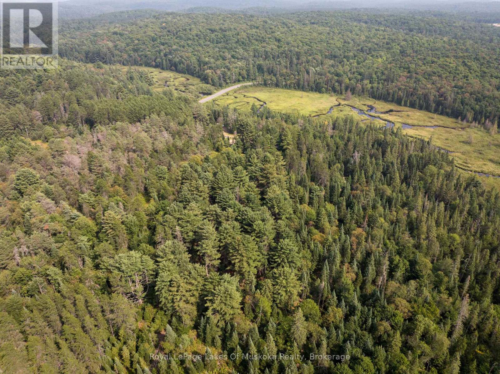 1590 Yearley Road, Huntsville, Ontario  P0B 1M0 - Photo 19 - X12335484