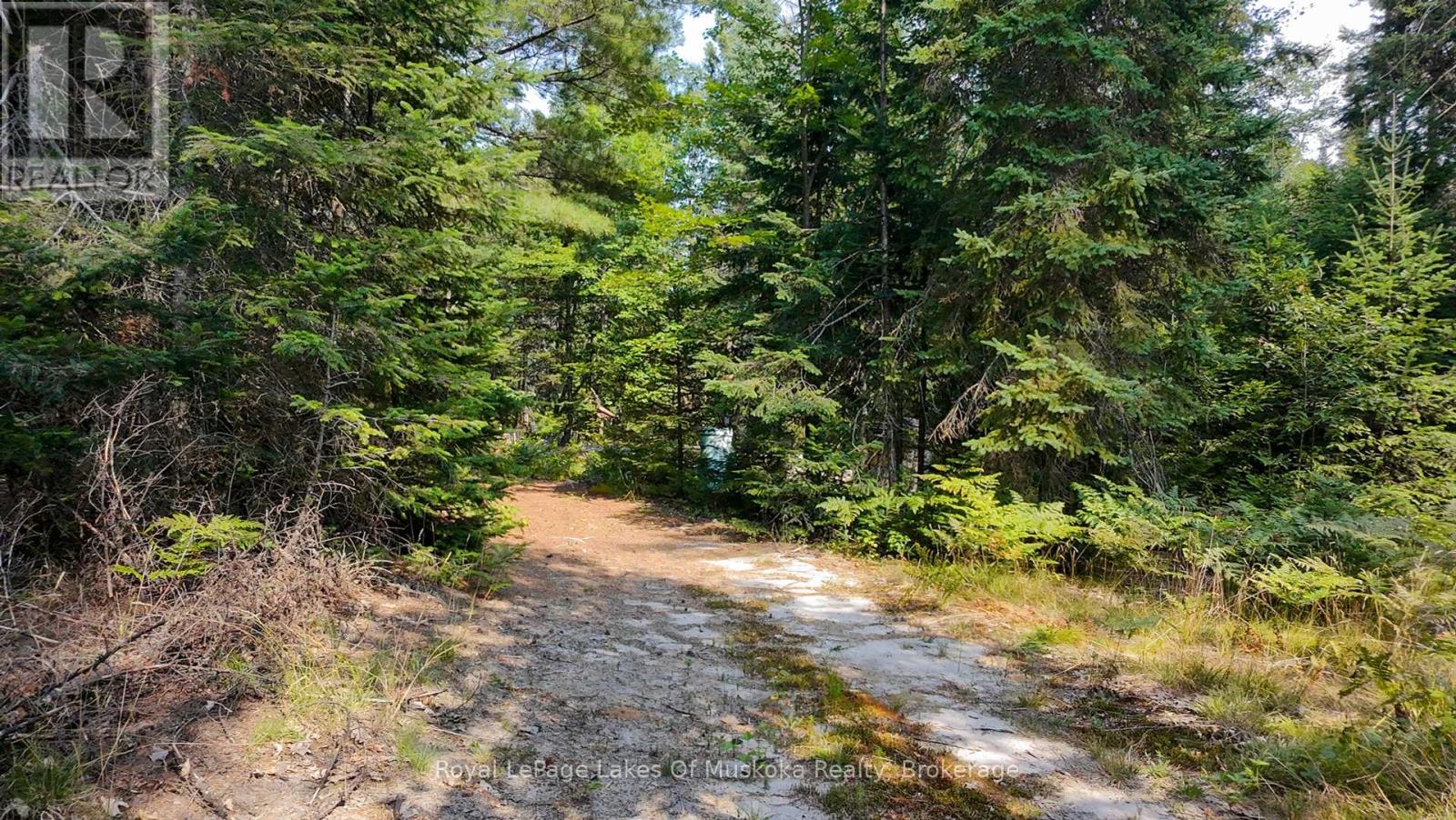 1590 Yearley Road, Huntsville, Ontario  P0B 1M0 - Photo 26 - X12335484