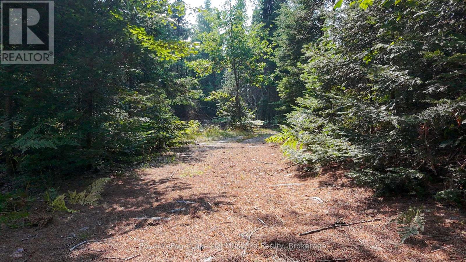 1590 Yearley Road, Huntsville, Ontario  P0B 1M0 - Photo 15 - X12335484