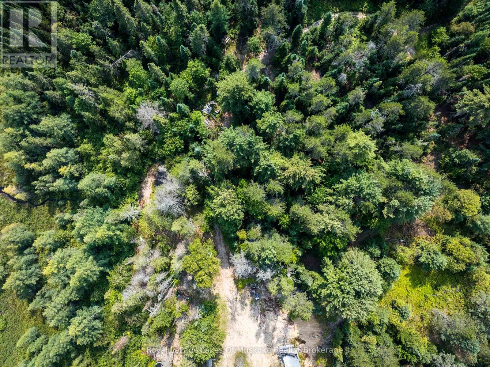 1590 Yearley Road, Huntsville, Ontario  P0B 1M0 - Photo 40 - X12335484