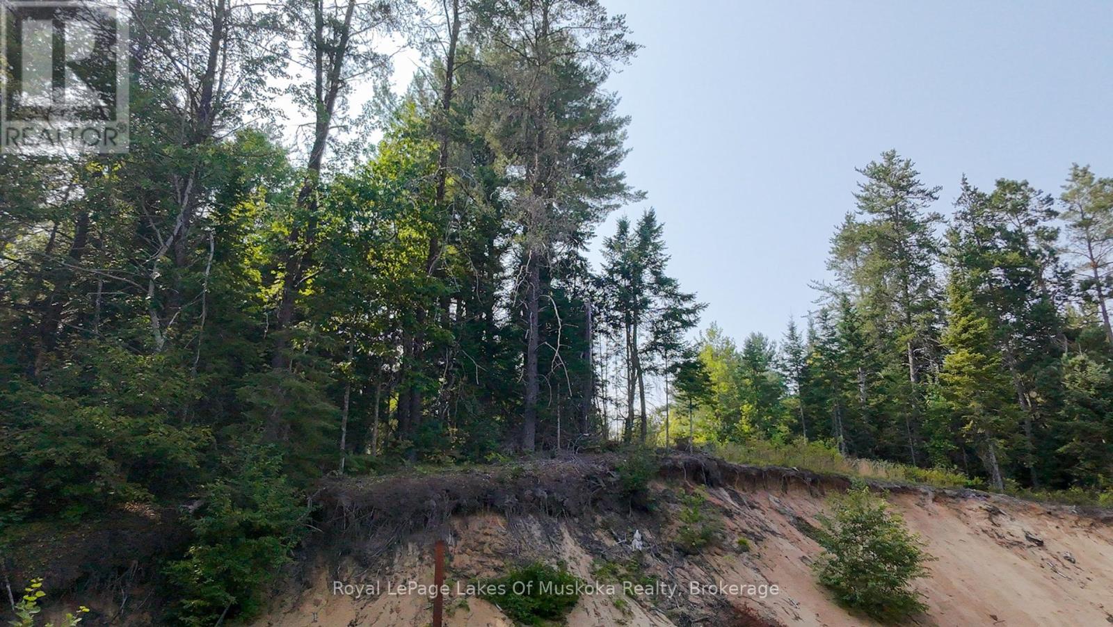 1590 Yearley Road, Huntsville, Ontario  P0B 1M0 - Photo 47 - X12335484