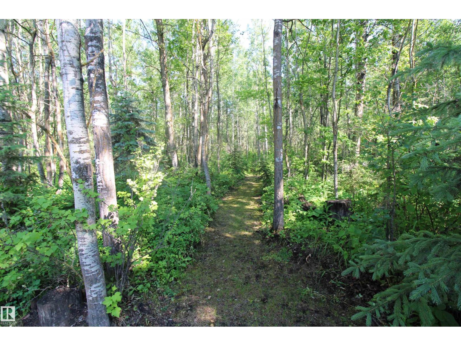 220 2 St, Rural Lac Ste. Anne County, Alberta  T0E 1A0 - Photo 37 - E4442962