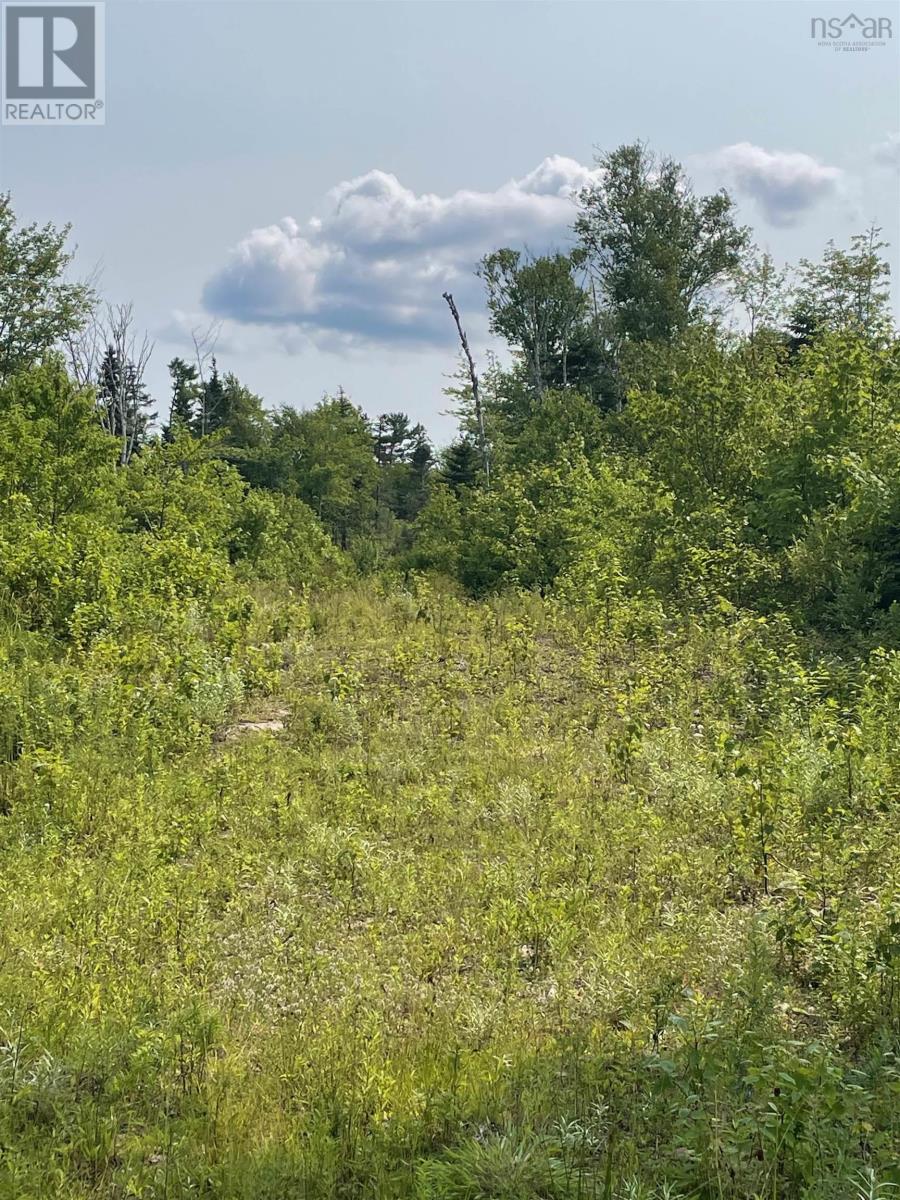 0 Kempt Head Road, Boularderie Centre, Nova Scotia  B1X 1L6 - Photo 4 - 202520177