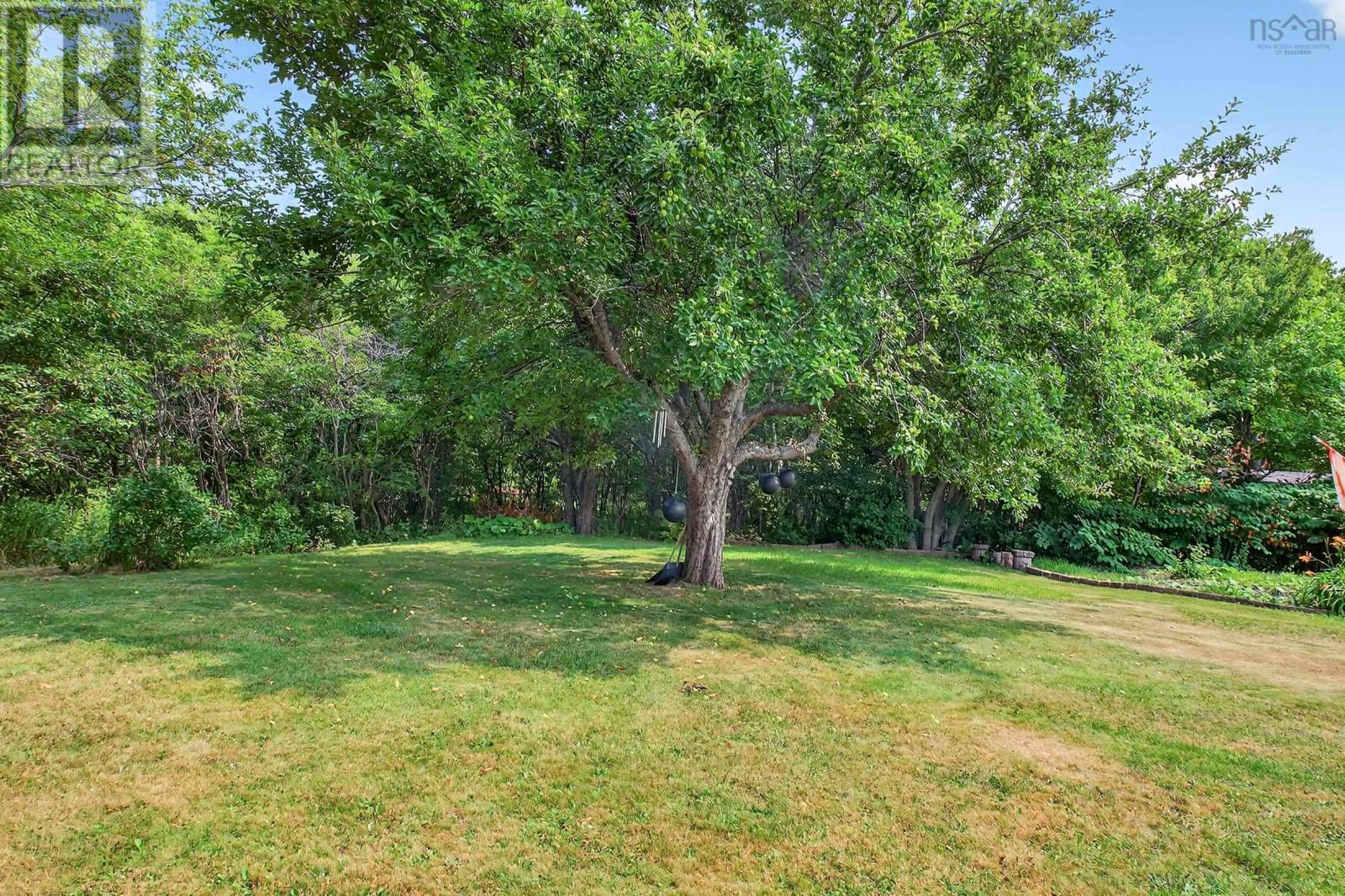 26 Grove Street, Glace Bay, Nova Scotia  B1A 3L7 - Photo 9 - 202520180