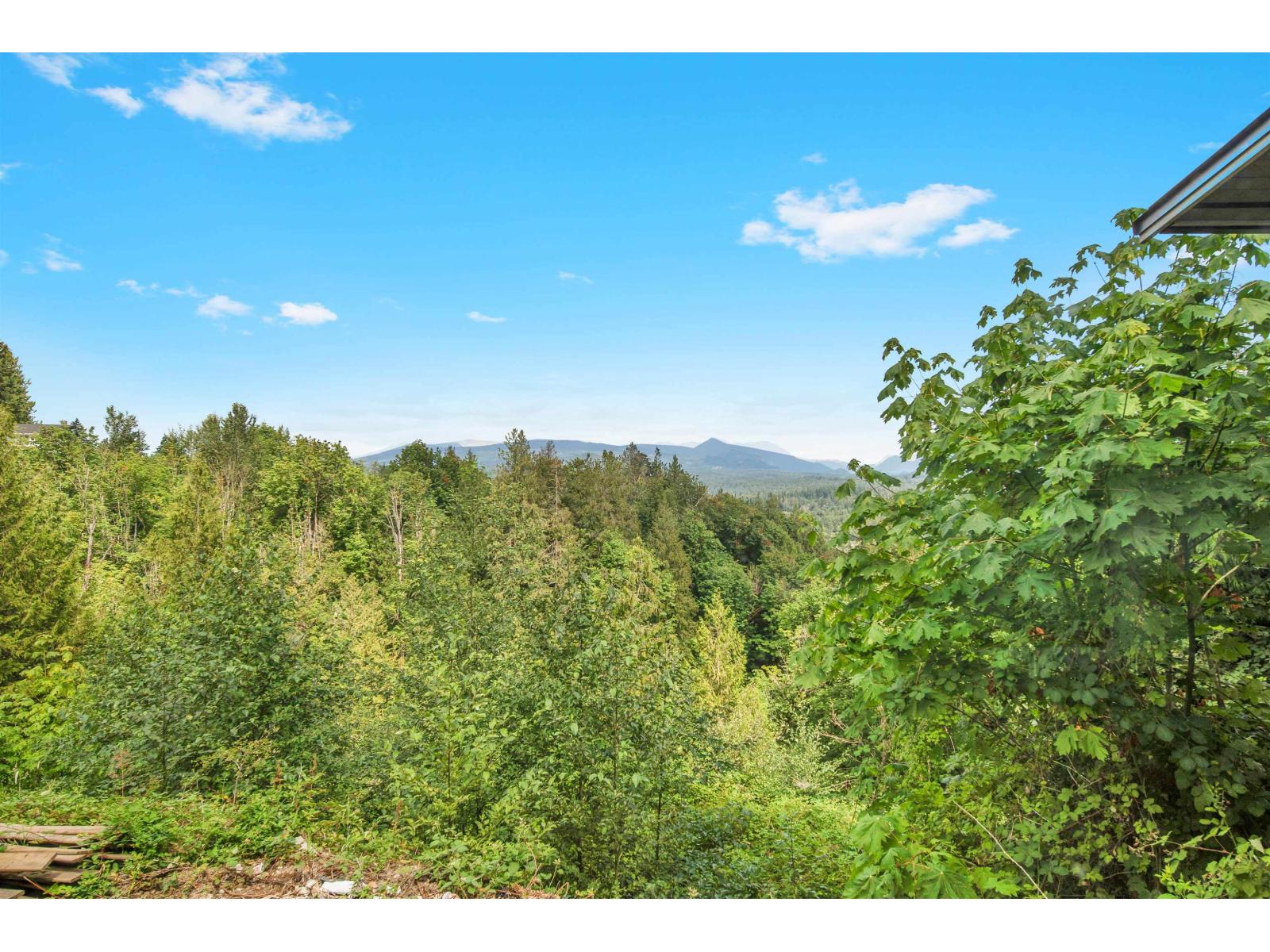 29399 Marsh Mccormick Road, Abbotsford, British Columbia  V4X 2B4 - Photo 31 - R3035026