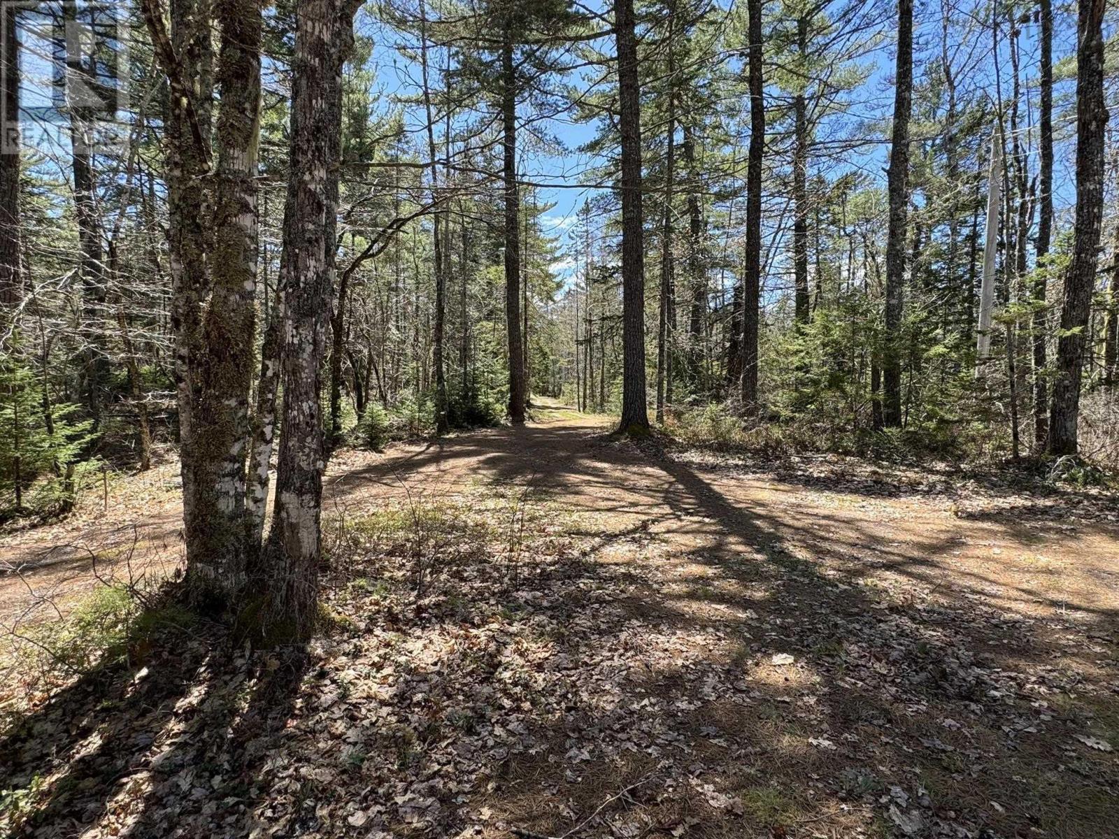 84 Lady Slipper Road, Westfield, Nova Scotia  B0T 1B0 - Photo 37 - 202515614