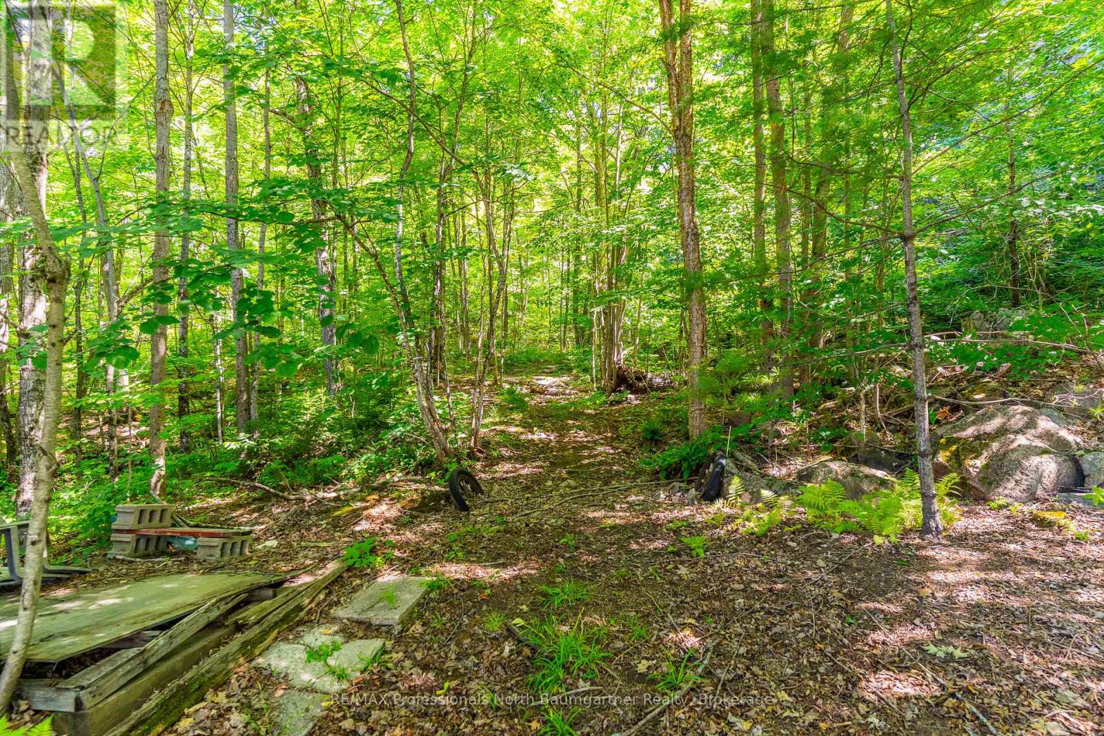 18830 Hwy 35, Algonquin Highlands, Ontario  K0M 1J2 - Photo 43 - X12140930