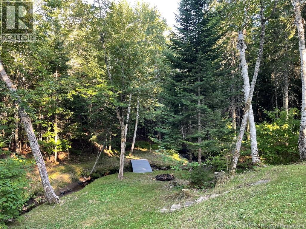 405 Little Dover Road, Memramcook, New Brunswick  E4K 2N4 - Photo 16 - NB124463