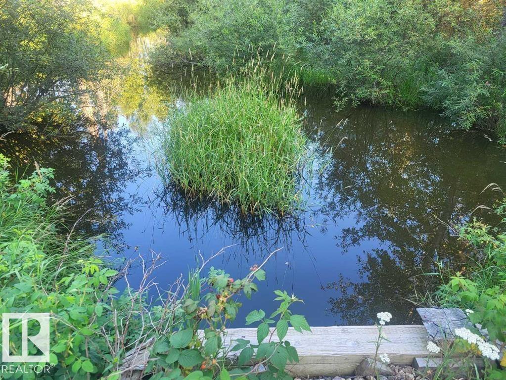 53305 Range Rd 111, Rural Yellowhead, Alberta  T7E 5A6 - Photo 22 - E4452325