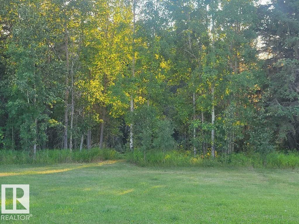 53305 Range Rd 111, Rural Yellowhead, Alberta  T7E 5A6 - Photo 23 - E4452325