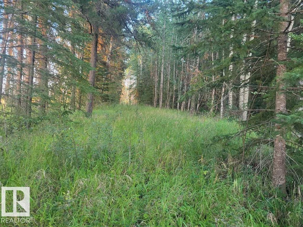 53305 Range Rd 111, Rural Yellowhead, Alberta  T7E 5A6 - Photo 25 - E4452325